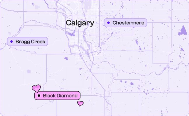 Black Diamond movers